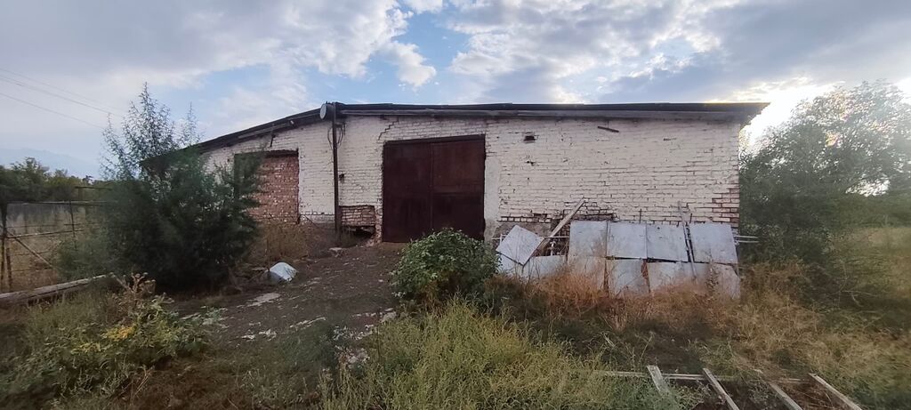 1000 соток, Для бизнеса: фото 8