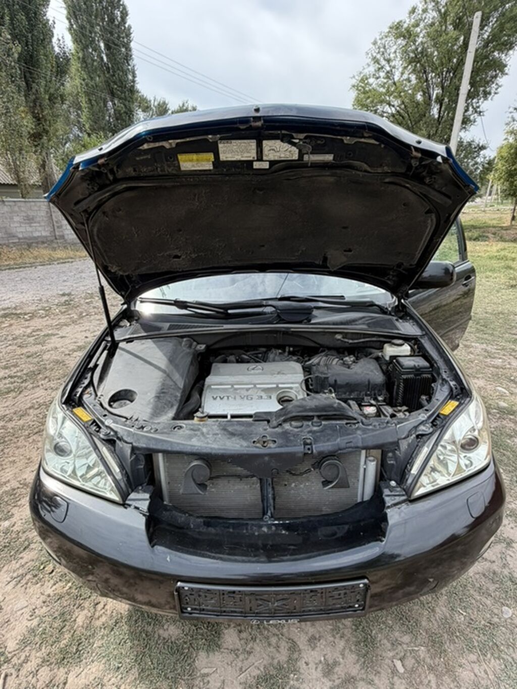 Lexus RX: 2004 г., 3.3 л, Автомат, Бензин, Кроссовер: фото 1