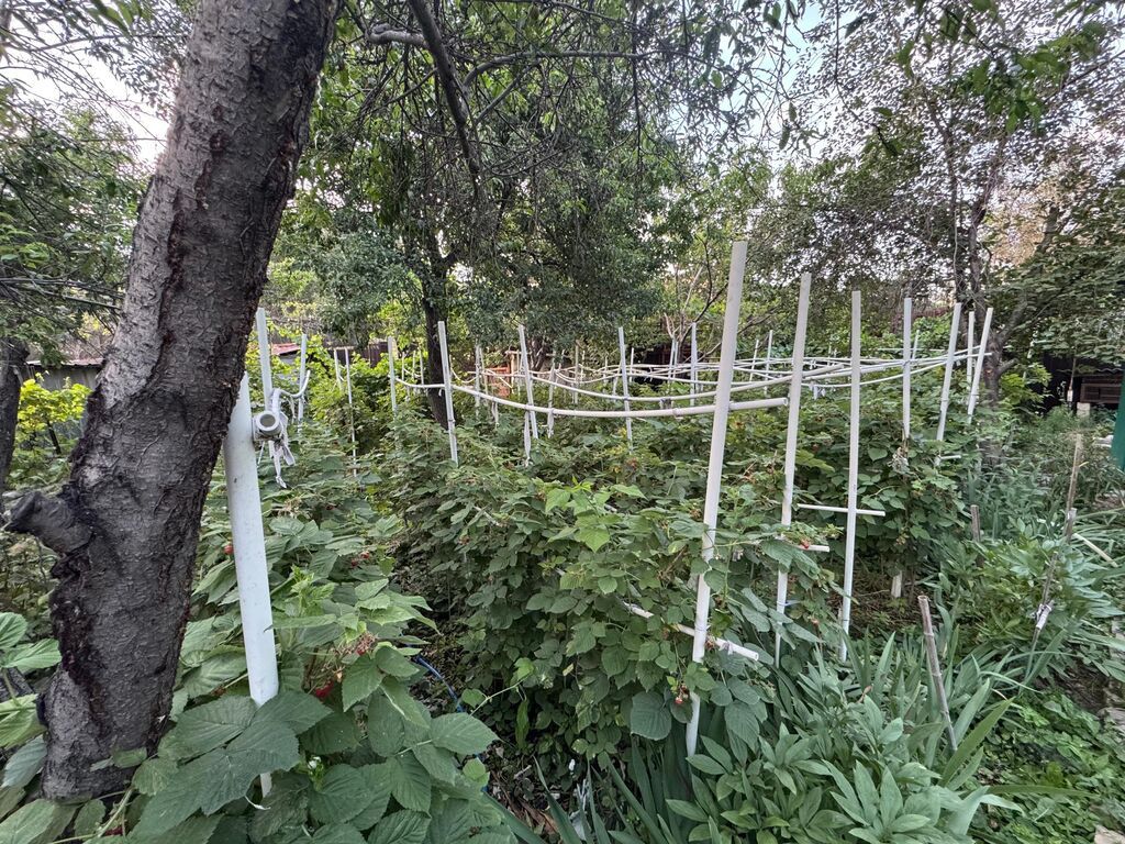 10 соток, Для бизнеса, Красная книга, Тех паспорт, Договор купли-продажи: фото 3
