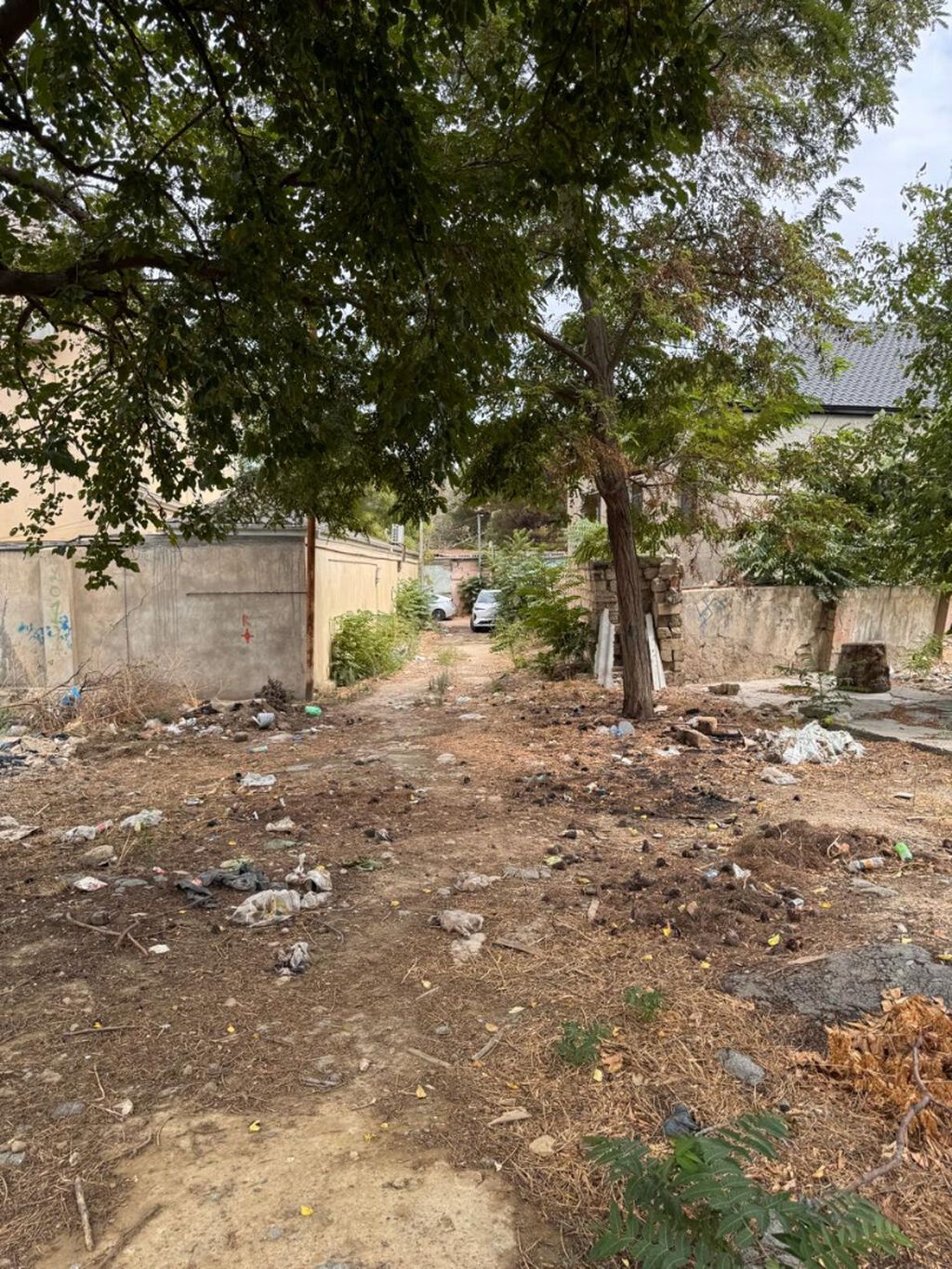 31 sot, Tikinti, Makler, Kupça (Çıxarış)