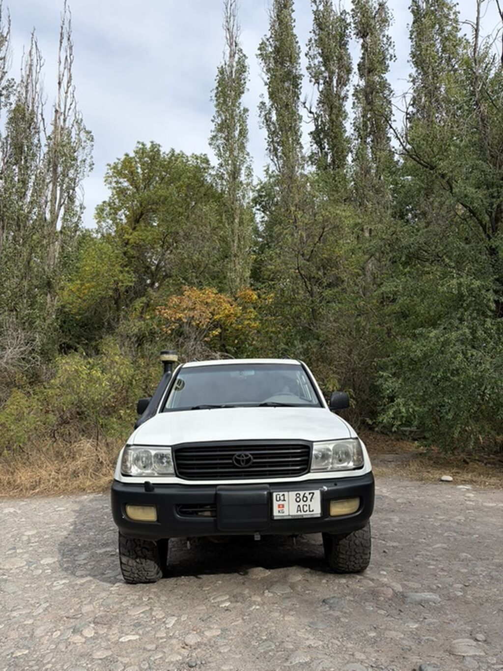 Toyota Land Cruiser: 2002 г., 4.2 л, Механика, Дизель, Внедорожник: фото 2