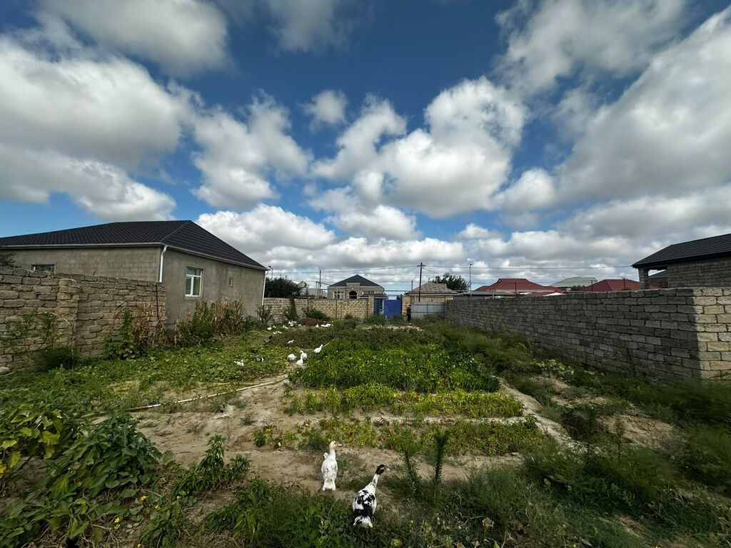 3 sot, Tikinti, Mülkiyyətçi, Kupça (Çıxarış)