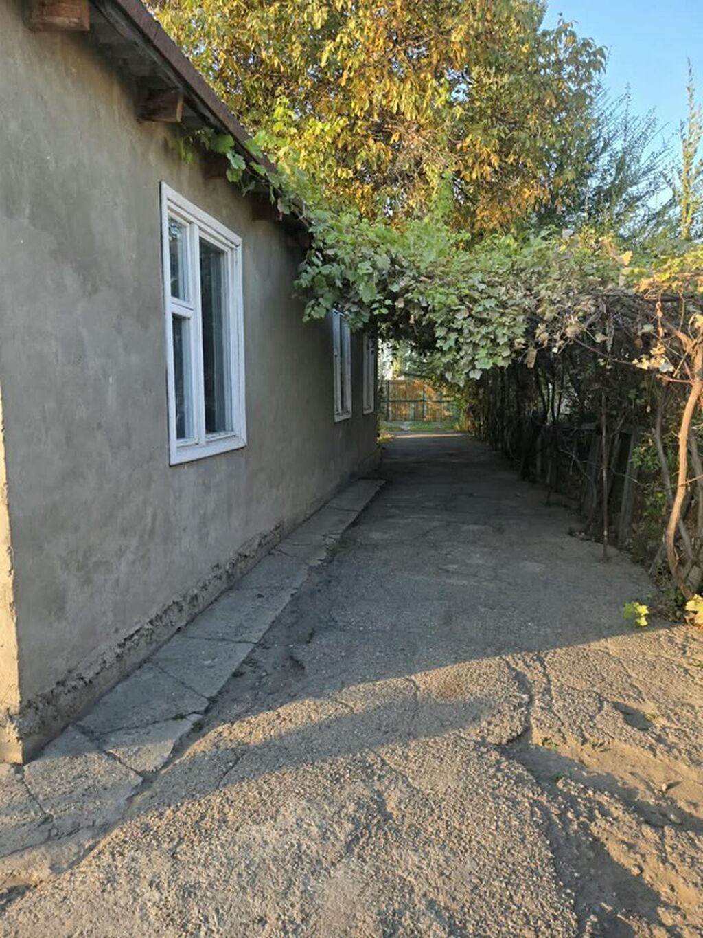 ПРОДАЁТСЯ ДОМ В ЦЕНТРЕ СЕЛА + 2,16 ГА ОРОШАЕМОЙ ЗЕМЛИ! ВСЁ ЗА $70: фото 4