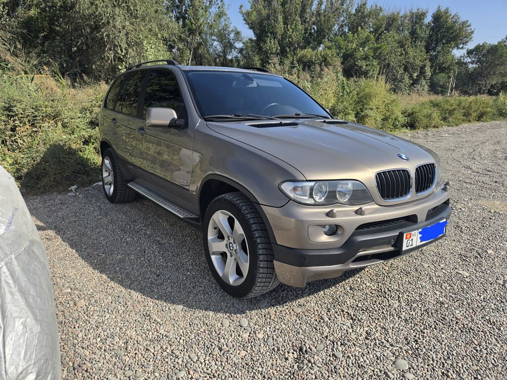 BMW X5: 2005 г., 3 л, Автомат, Дизель, Внедорожник: фото 3