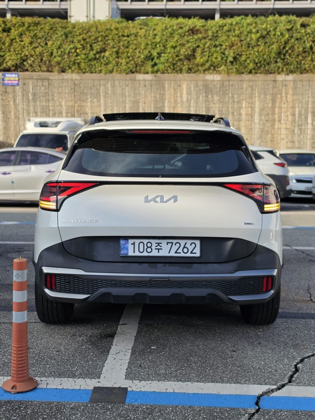 Kia Sportage: 2021 г., 1.6 л, Гибрид, Кроссовер: фото 3