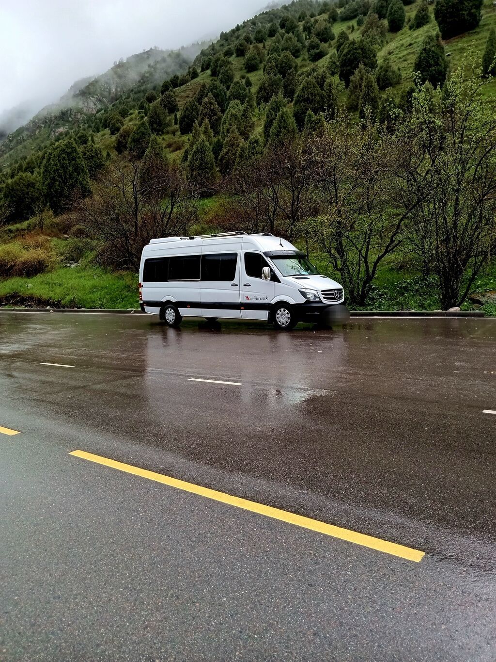 Пассажирский микроавтобус Mercedes-Benz Sprinter — люксовая: фото 3