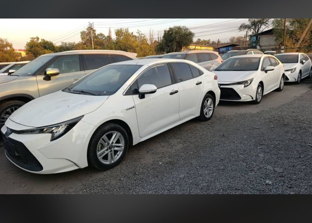 Toyota Levin: 2021 г., 1.8 л, Вариатор, Гибрид, Седан: фото 2
