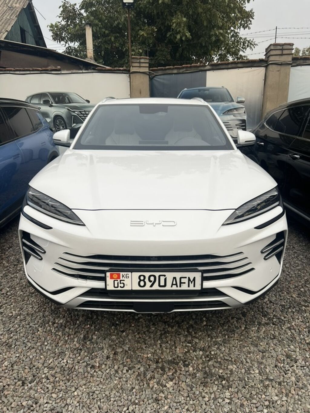 BYD Song Plus: 2025 г., Гибрид, Кроссовер: фото 1