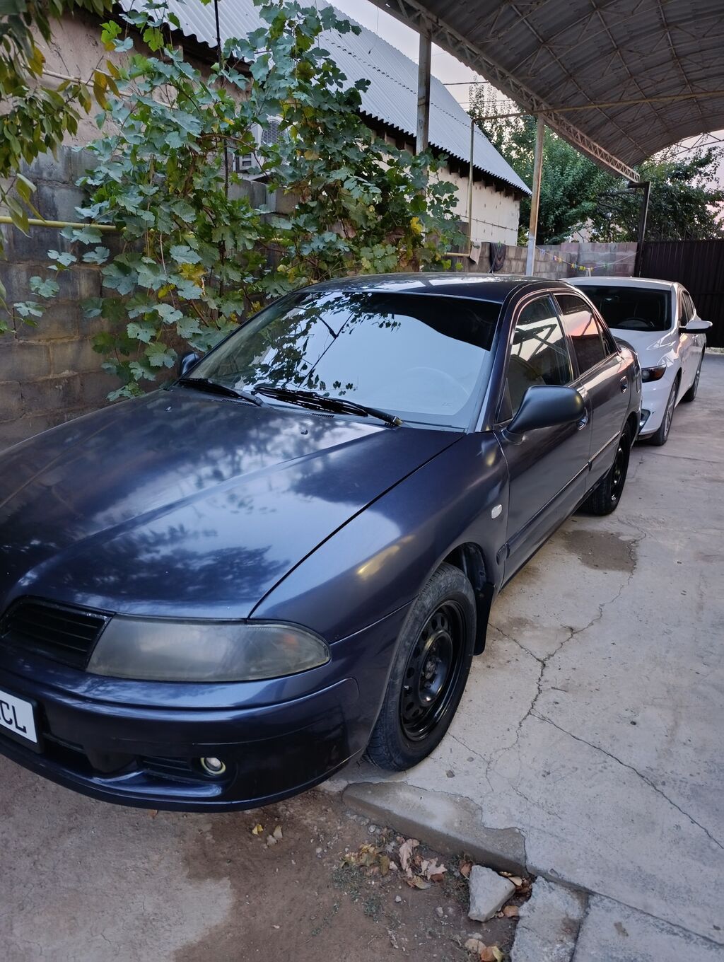 Фото 4