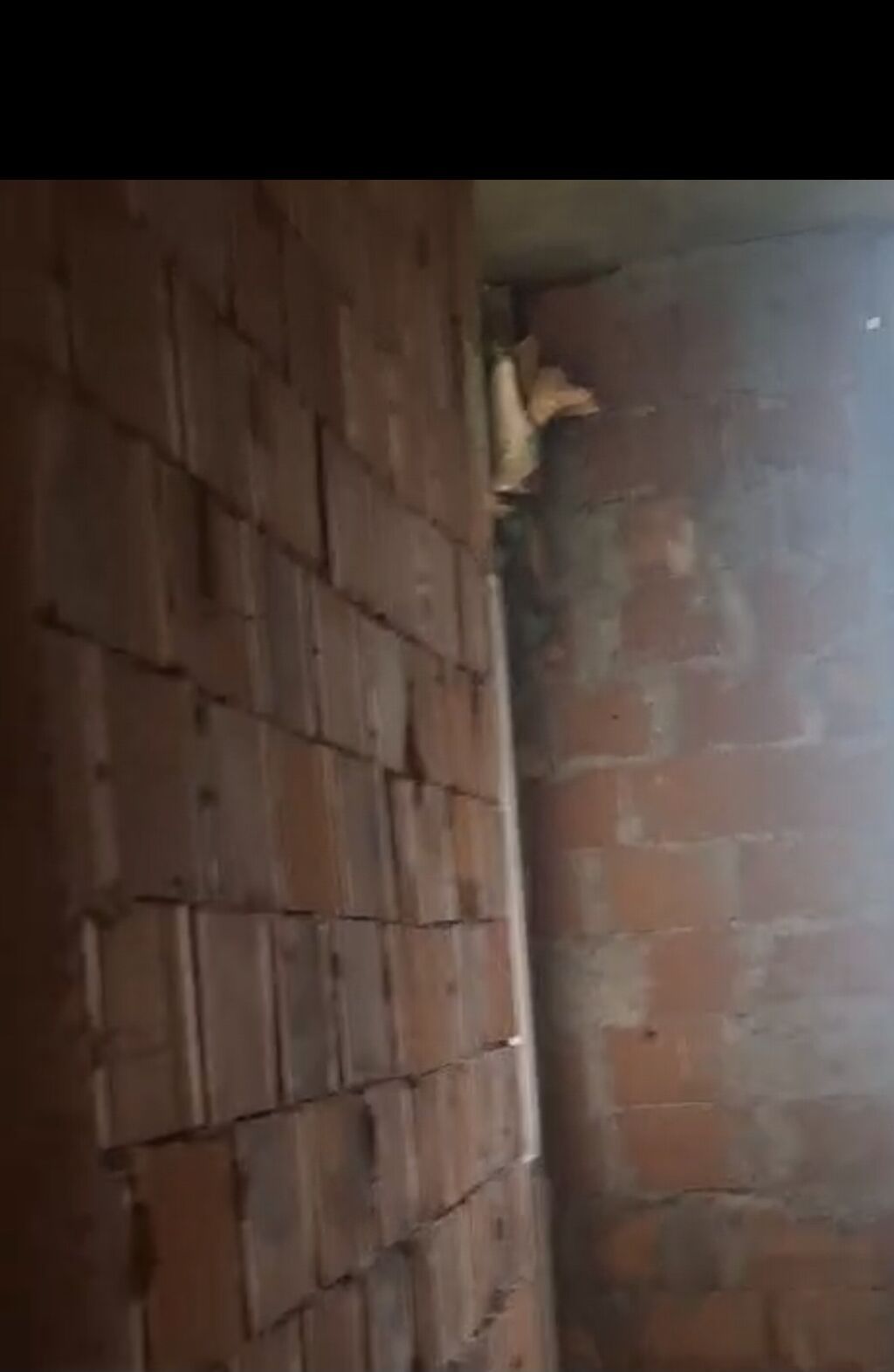 Binəqədi qəs., 2 otaqlı, Yeni tikili, m. Azadlıq Prospekti, 42 kv. m