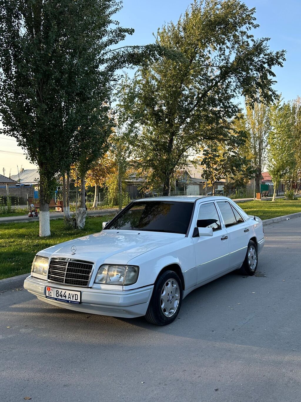 Mercedes-Benz E-Class: 1993 г., 3.2 л, Автомат, Бензин, Седан: фото 1