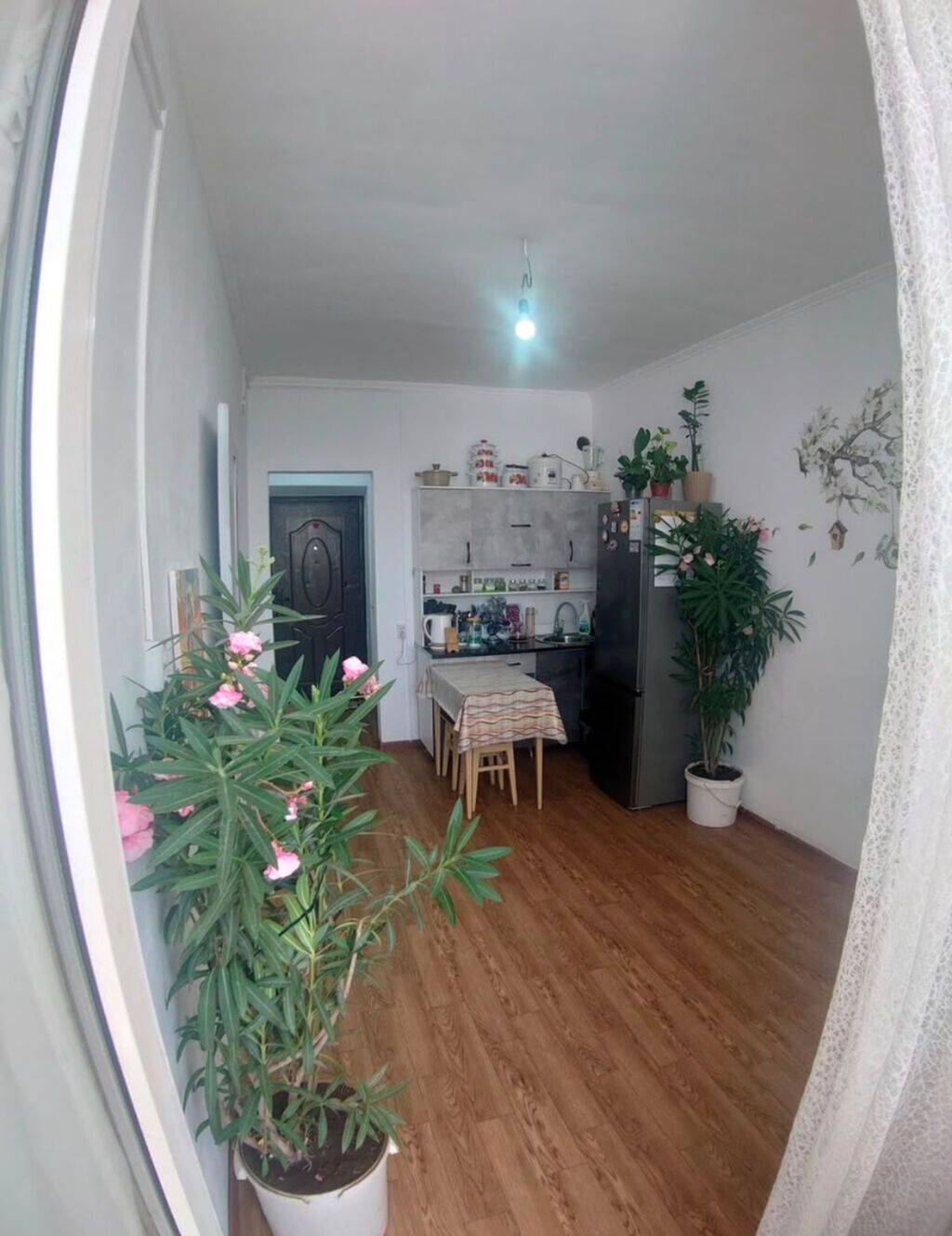 1 комната, 32 м², Кок-Жар ж/м Малосемейка, 2 этаж, Евроремонт: фото 3