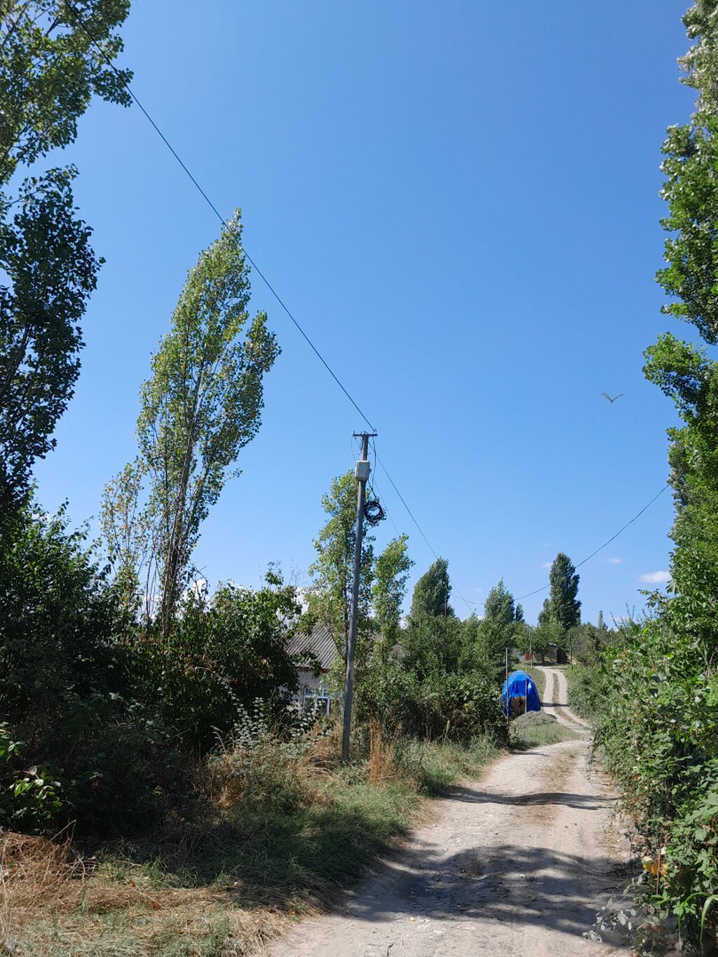 3 otaqlı, Yeni tikili, 60 kv. m