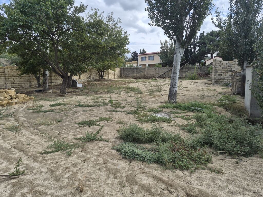 4 sot, Tikinti, Mülkiyyətçi, Kupça (Çıxarış)