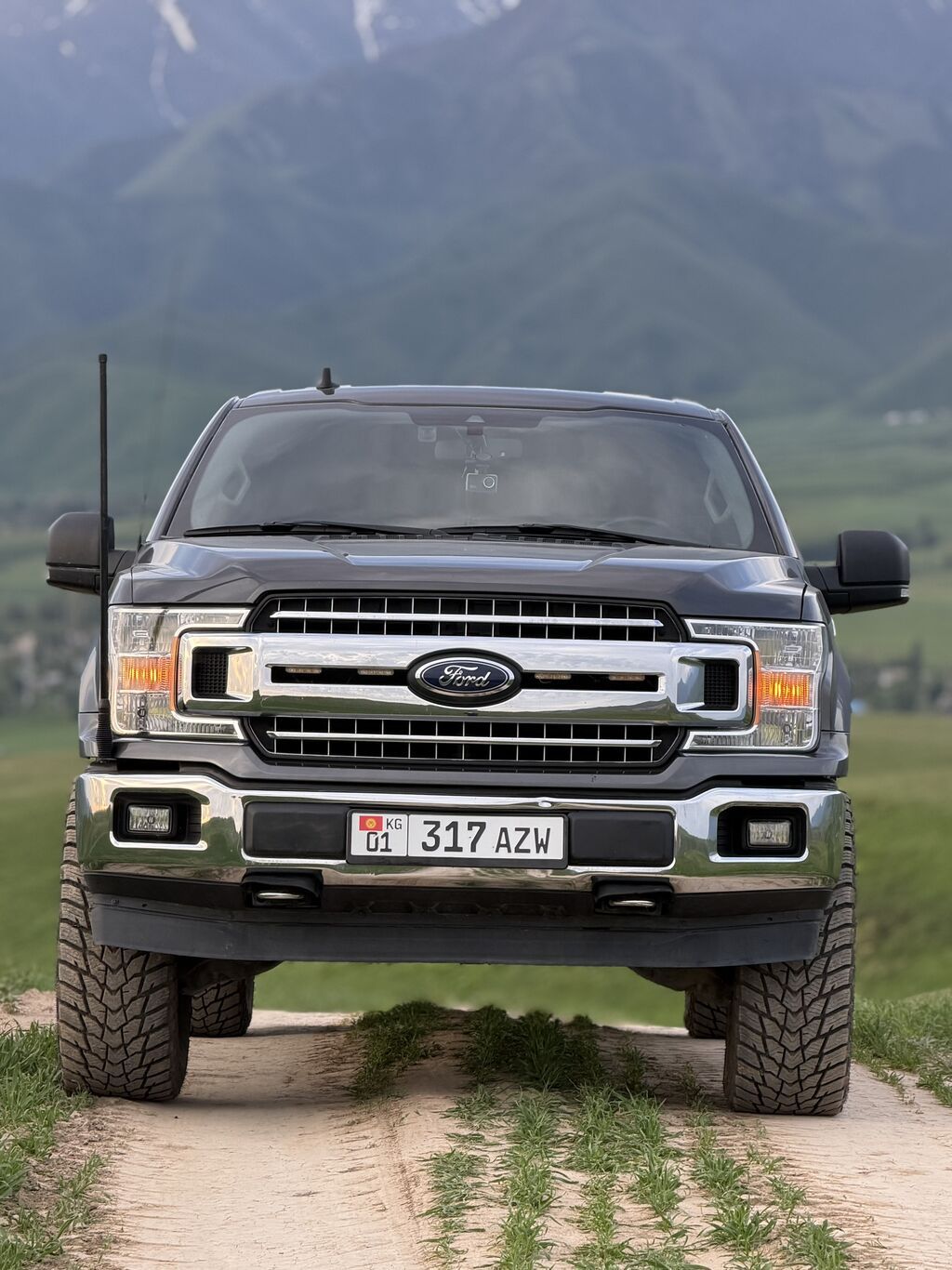 Ford F-150: 2019 г., 3.5 л, Автомат, Бензин, Пикап: фото 3