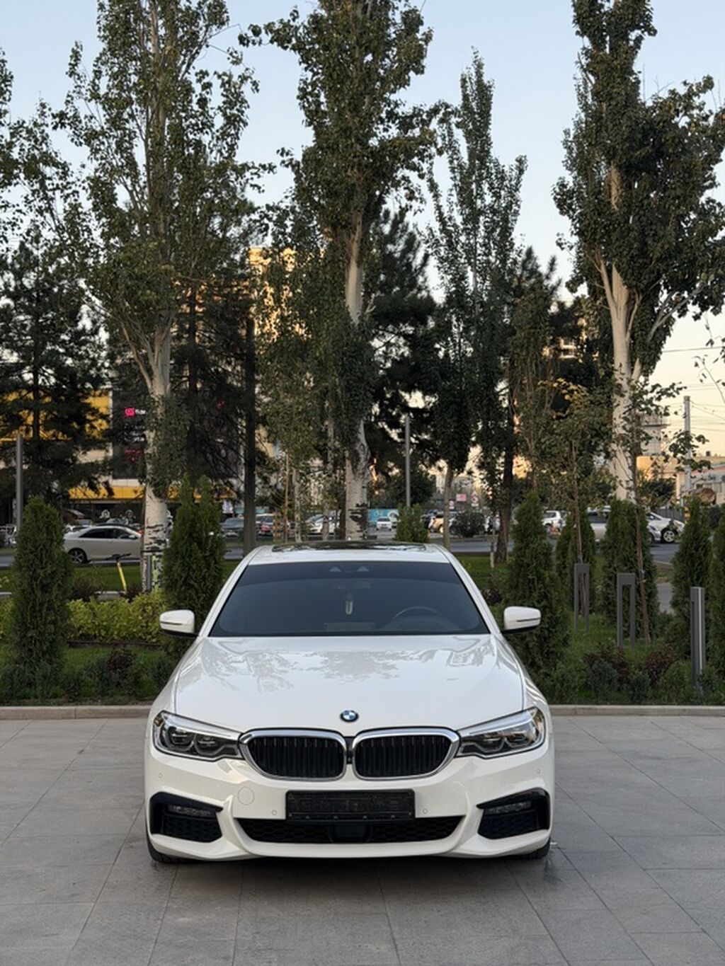 BMW 530: 2019 г., 2 л, Автомат, Бензин, Седан: фото 1