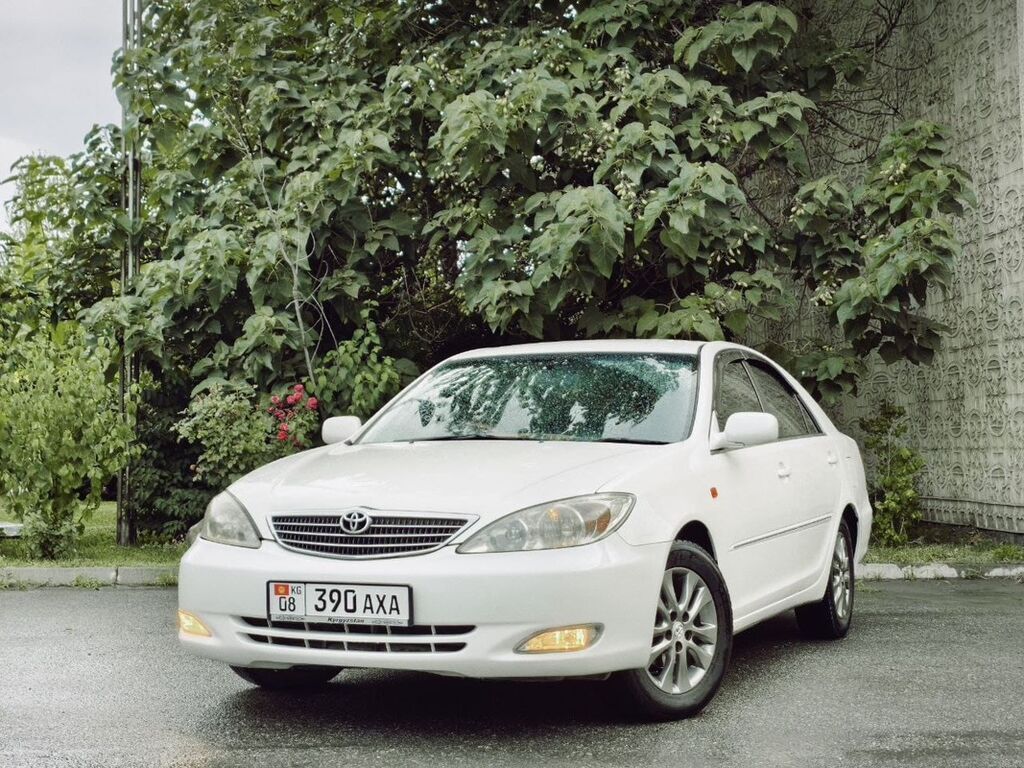 Toyota Camry: 2003 г., 2.4 л, Автомат, Бензин, Седан: фото 4