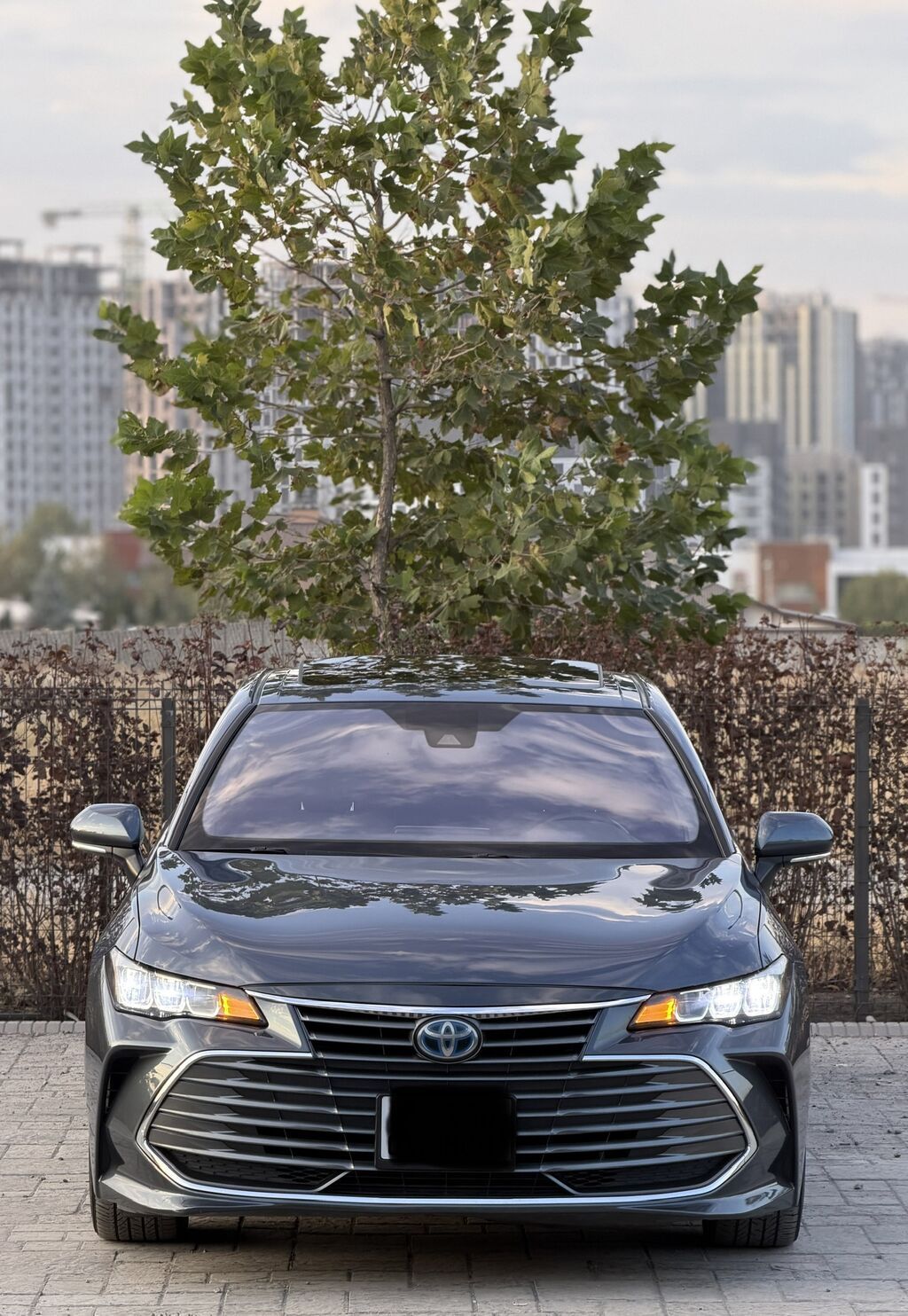 Toyota Avalon: 2019 г., 2.5 л, Вариатор, Гибрид, Седан: фото 4