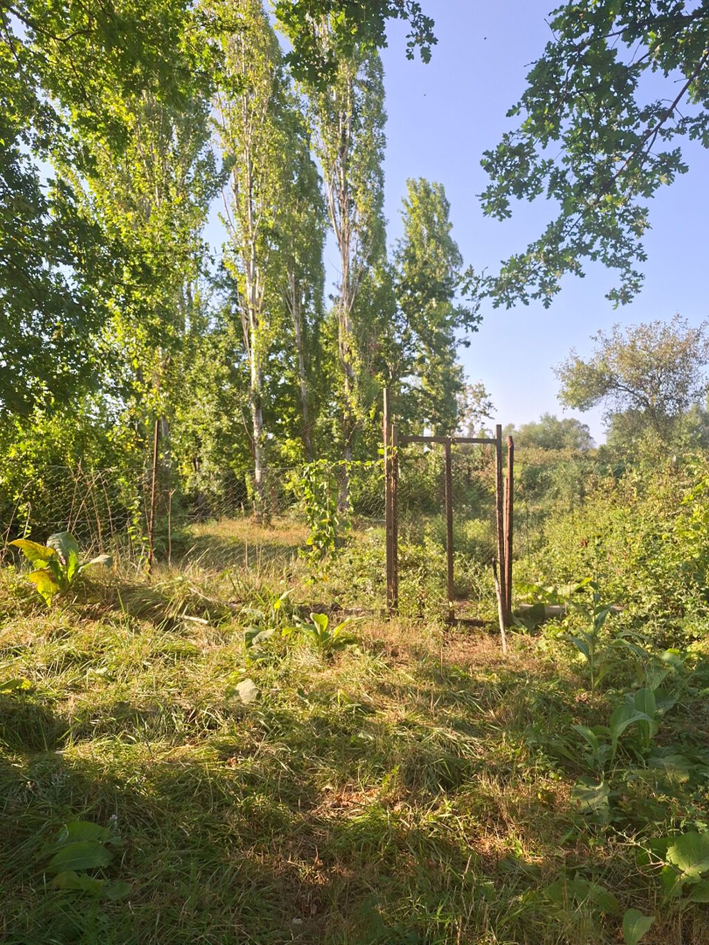 3 otaqlı, 45 kv. m, Təmirsiz