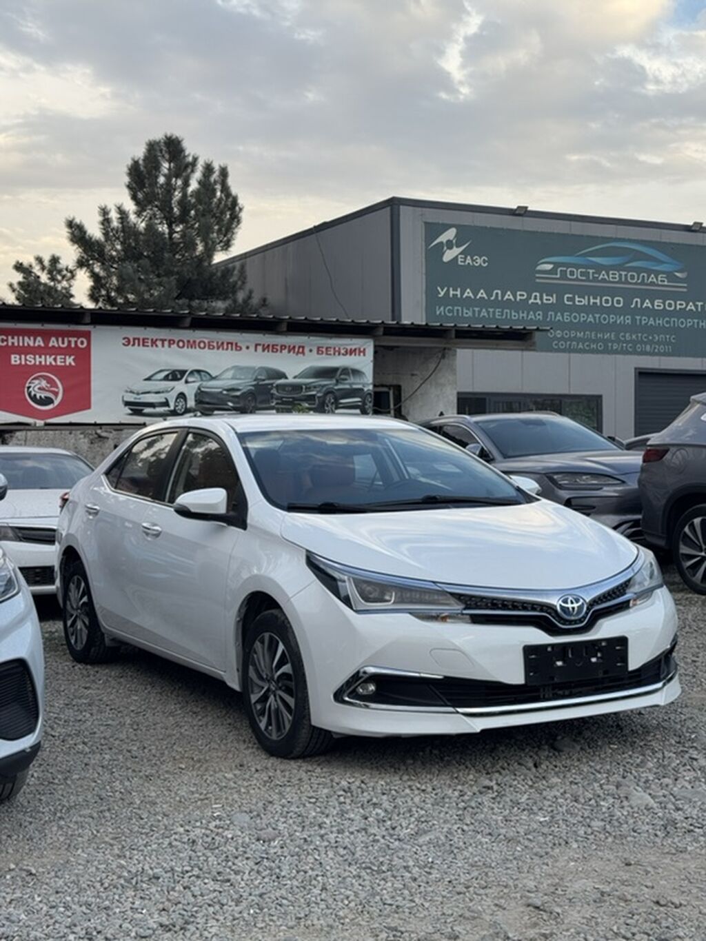 Toyota Levin: 2019 г., 1.8 л, Автомат, Гибрид, Седан: фото 2