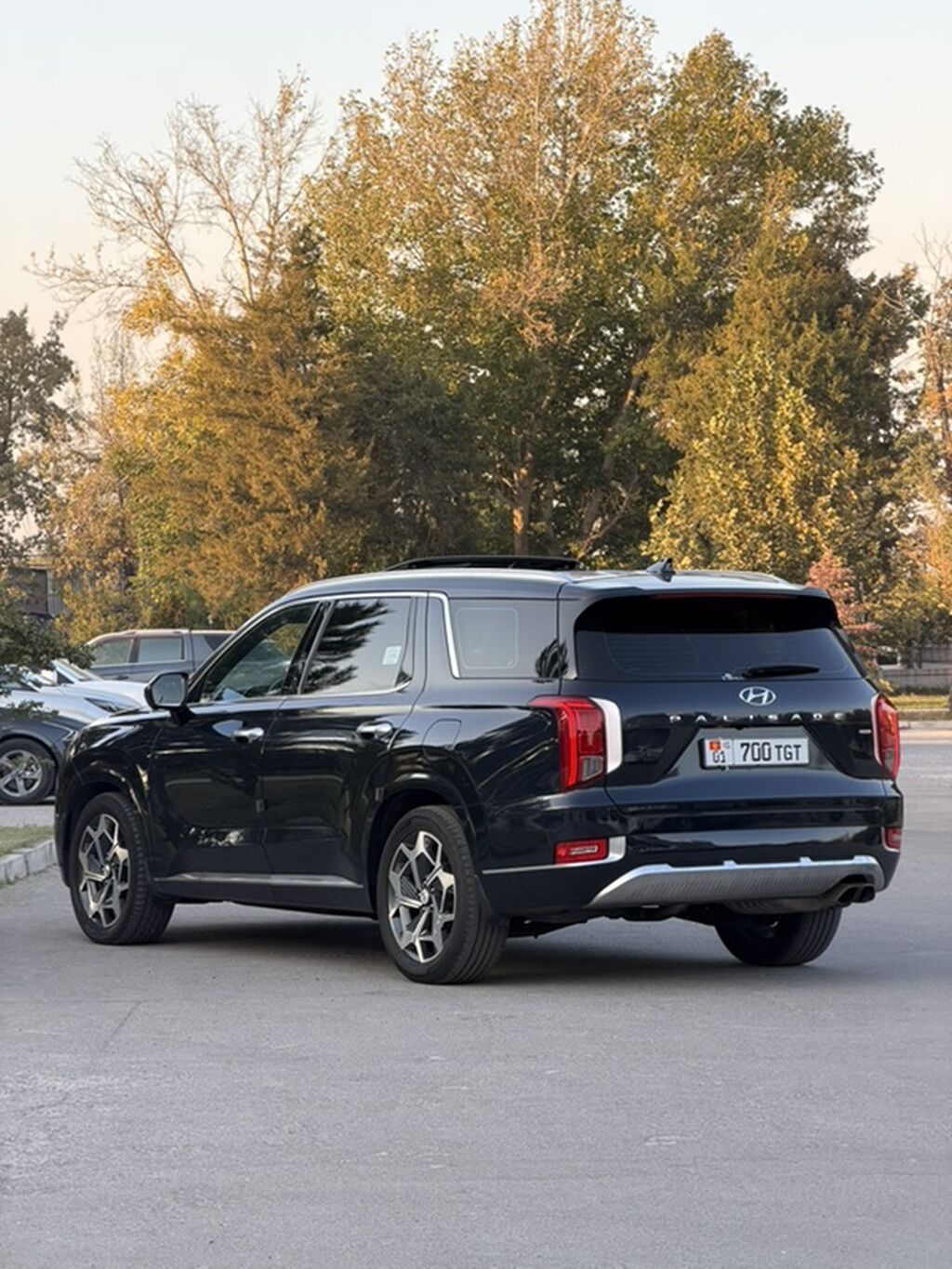 Hyundai Palisade: 2021 г., 2.2 л, Автомат, Дизель, Внедорожник: фото 6