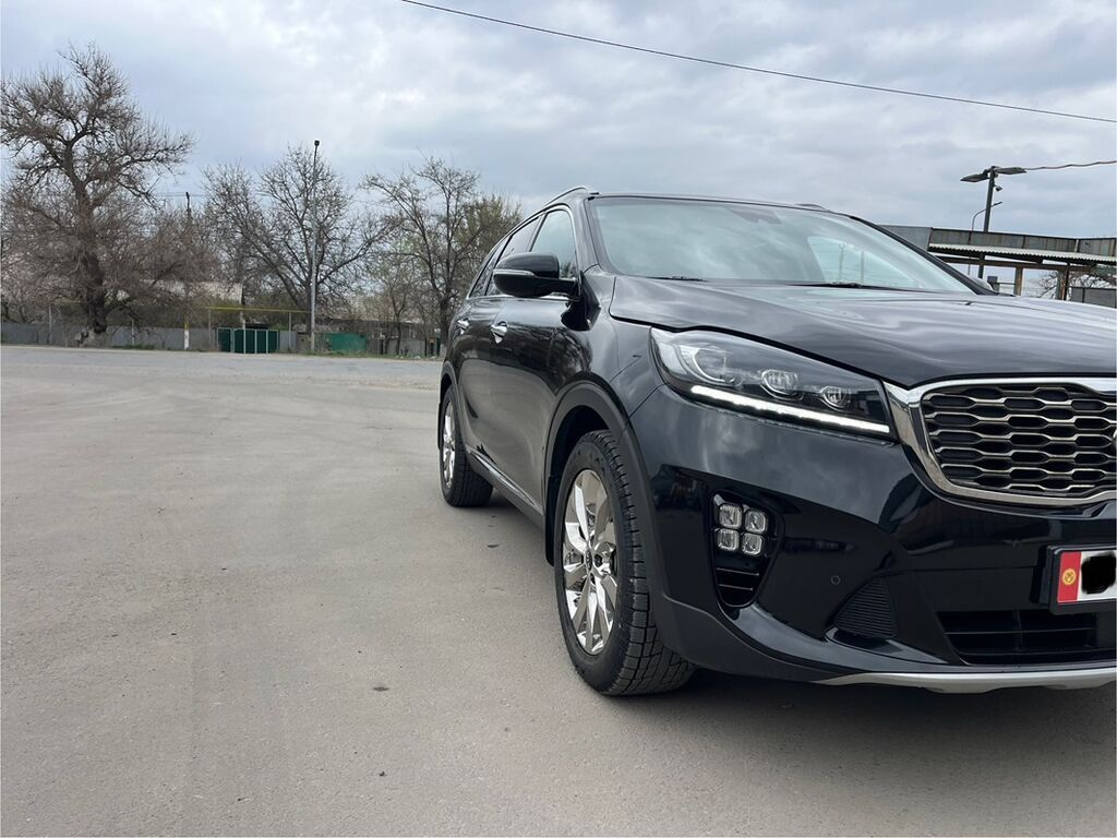 Kia Sorento: 2019 г., Дизель, Кроссовер: фото 2