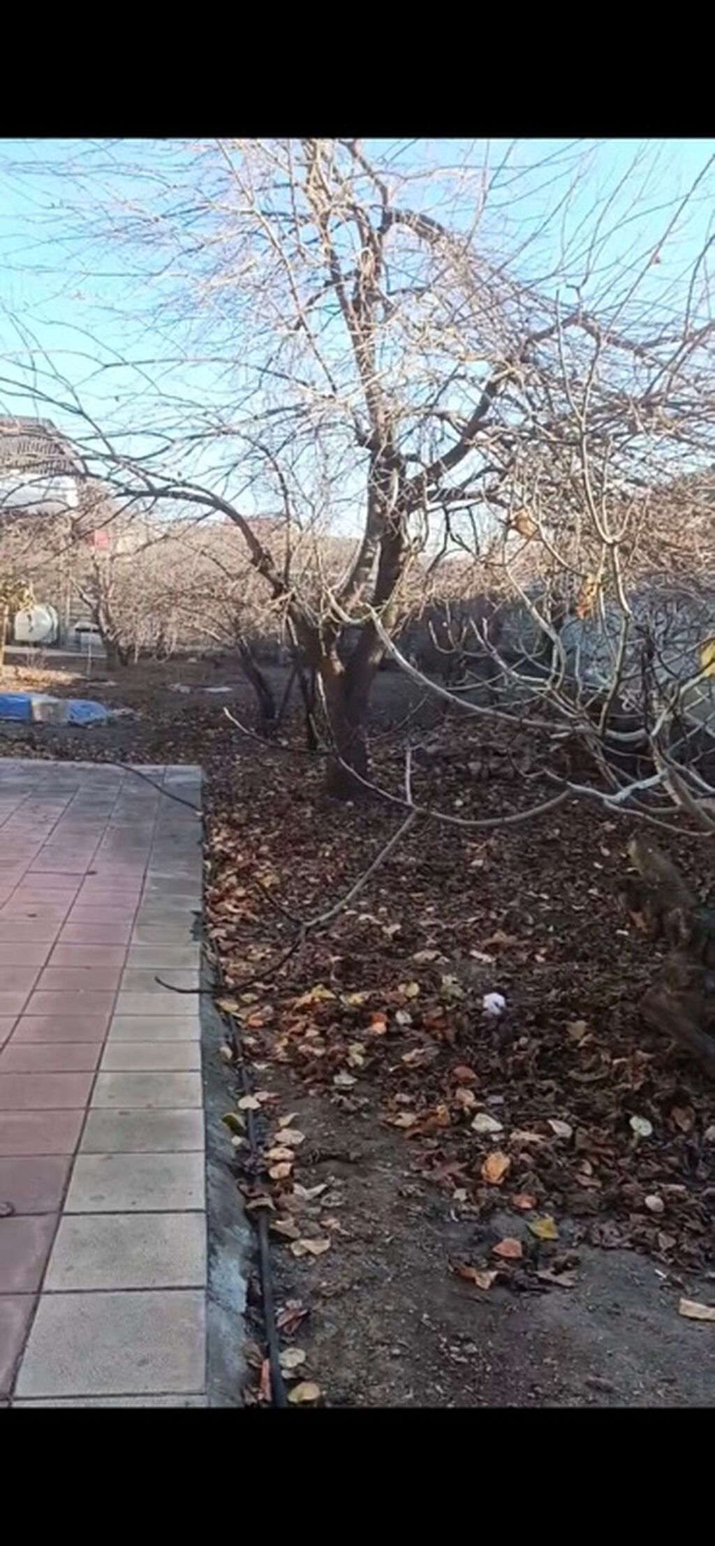 Kənd təsərrüfatı, Makler, Kupça (Çıxarış)