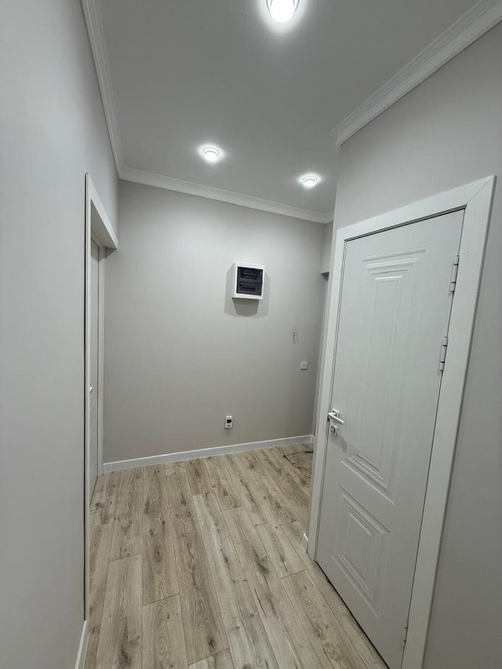 1 комната, 45 м², Ынтымак ж/м 106 серия улучшенная, 3 этаж, Евроремонт: фото 3