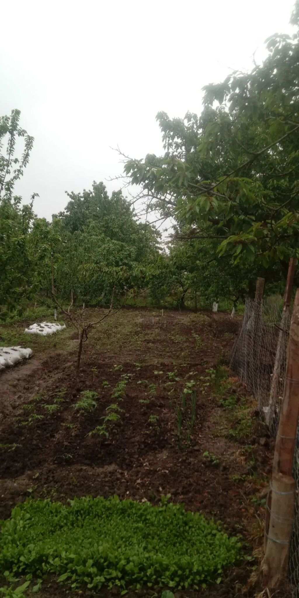 4 otaqlı, 87 kv. m, Kredit yoxdur, Təmirsiz
