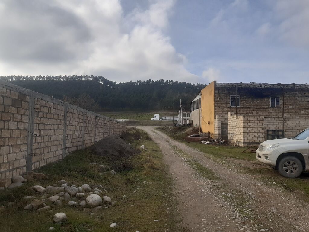 10 sot, Tikinti