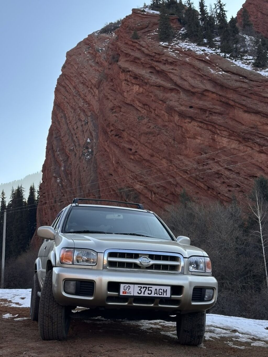 Nissan Pathfinder: 2001 г., 3.5 л, Автомат, Бензин, Внедорожник: фото 5