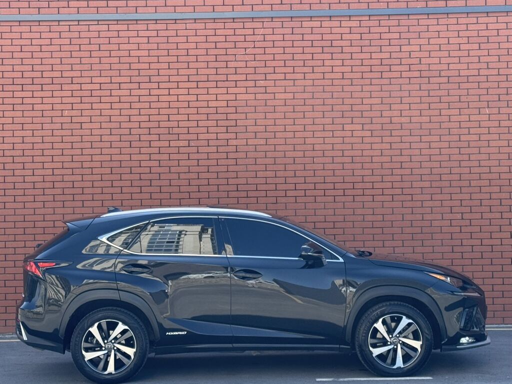 Lexus NX: 2019 г., 2.5 л, Вариатор, Гибрид, Кроссовер: фото 7