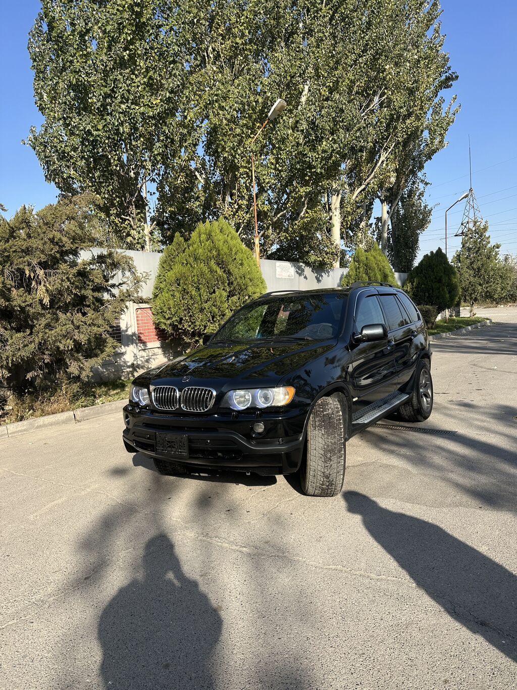BMW X5: 2002 г., 4.4 л, Автомат, Бензин, Кроссовер: фото 3