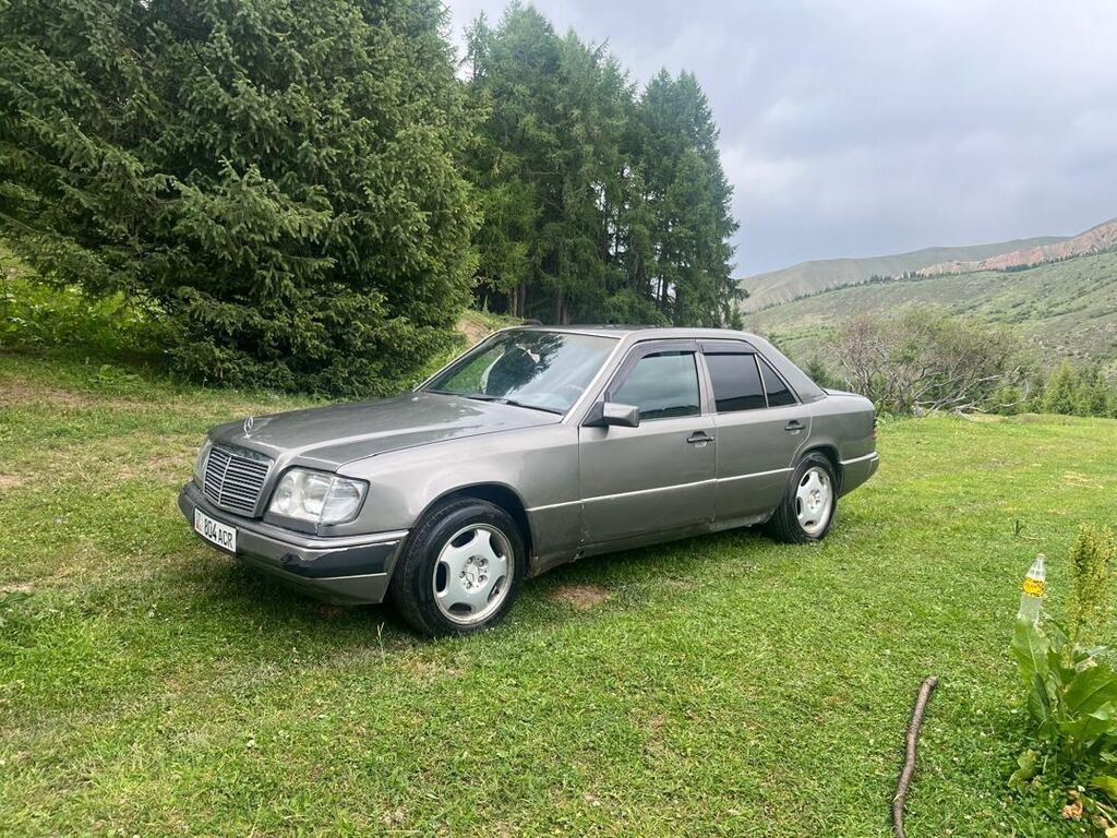 Mercedes-Benz W124: 1993 г., 3.2 л, Механика, Газ, Седан: фото 7
