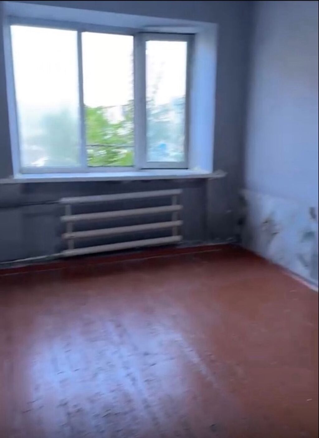 20 м², С мебелью: фото 3