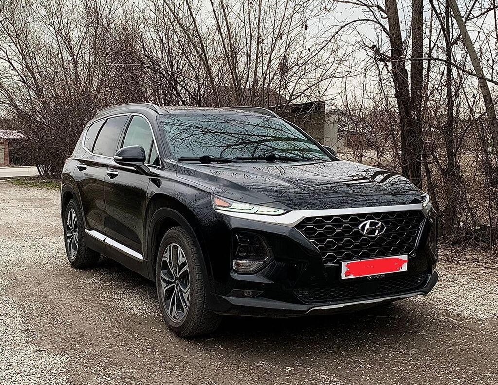 Hyundai Santa Fe: 2019 г., 2 л, Автомат, Бензин, Внедорожник: фото 1