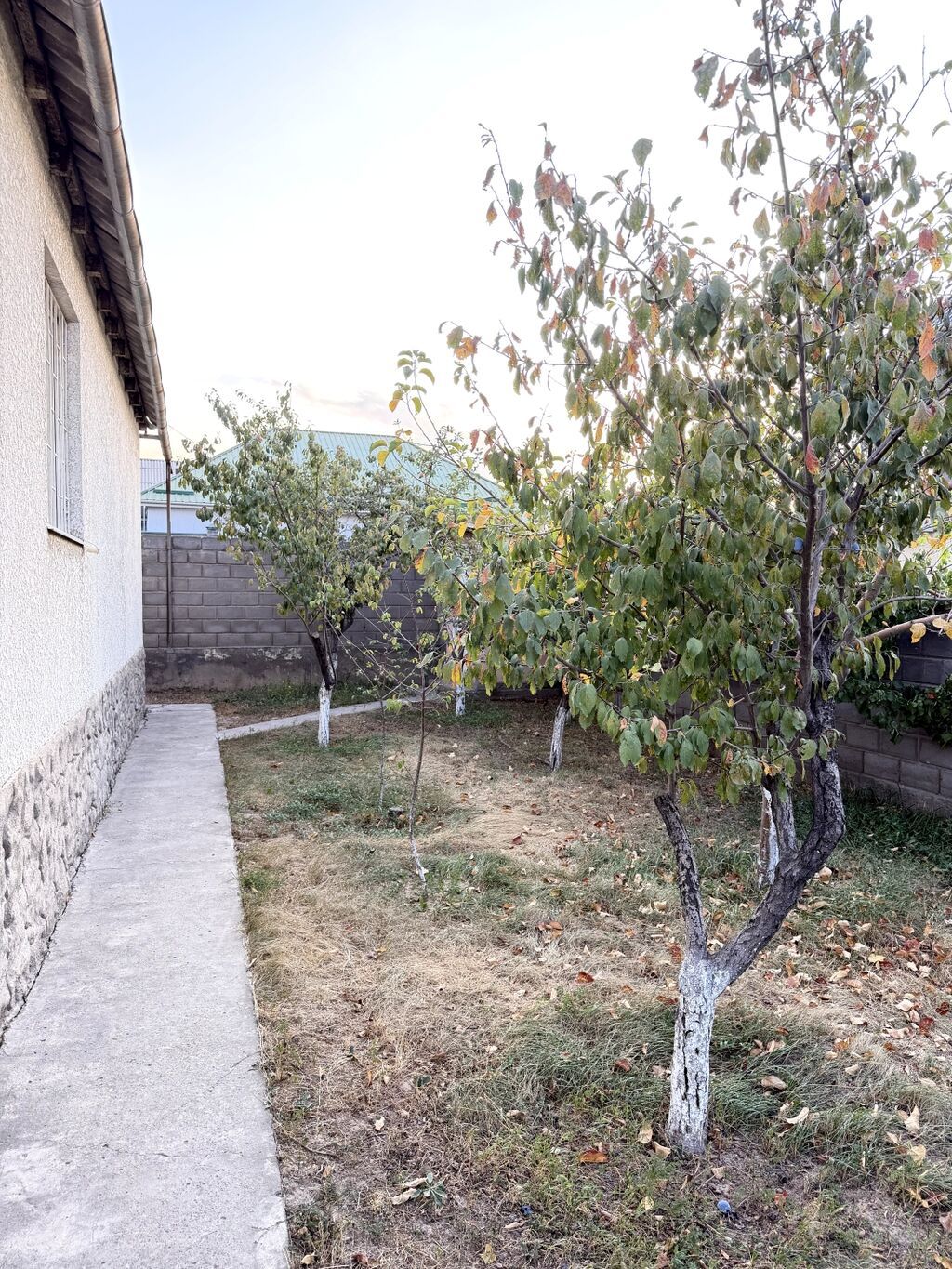 Продам дом с участком в Кара Жыгач: фото 5