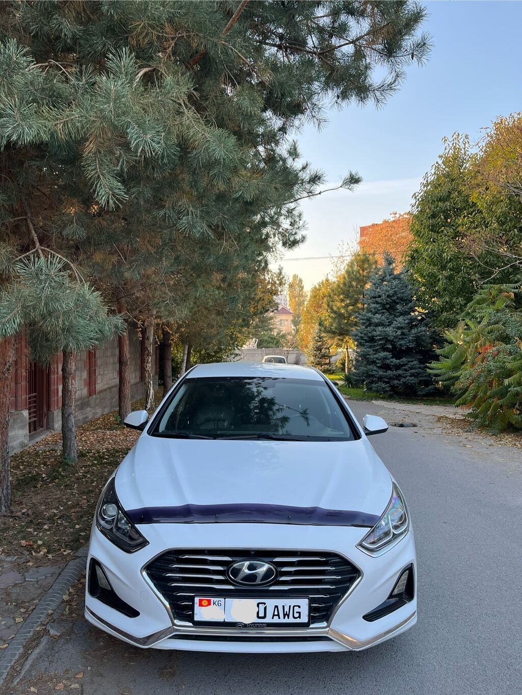 Hyundai Sonata: 2018 г., 2 л, Автомат, Газ, Седан: фото 3