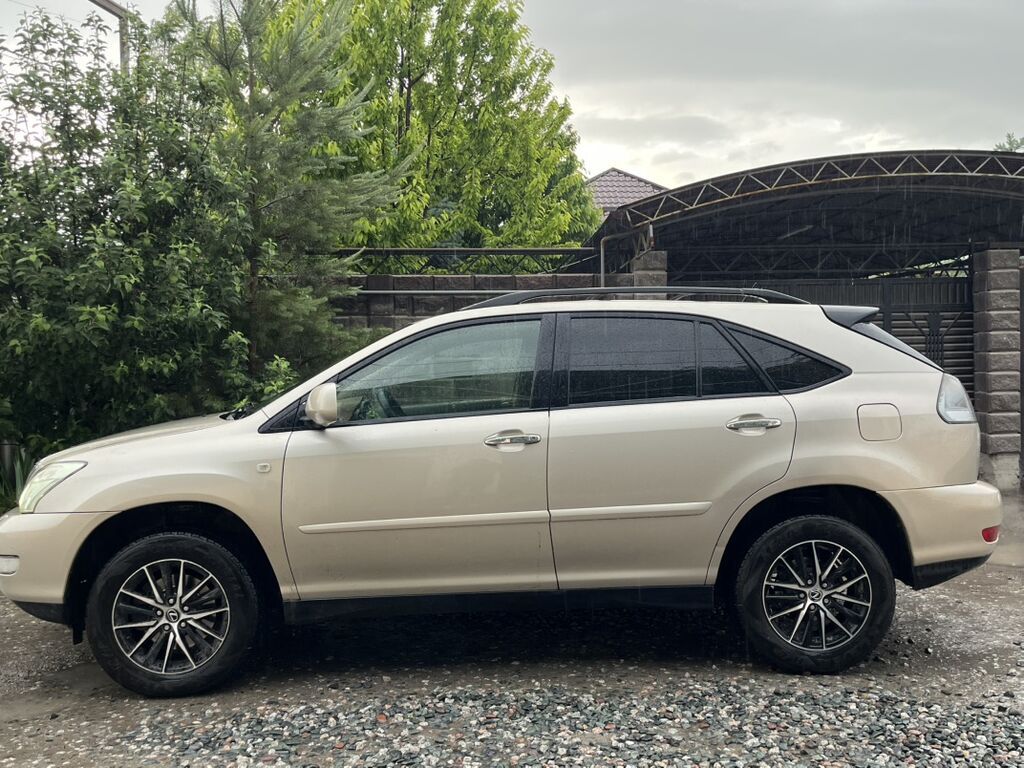 Lexus RX: 2004 г., 3 л, Автомат, Бензин, Кроссовер: фото 2
