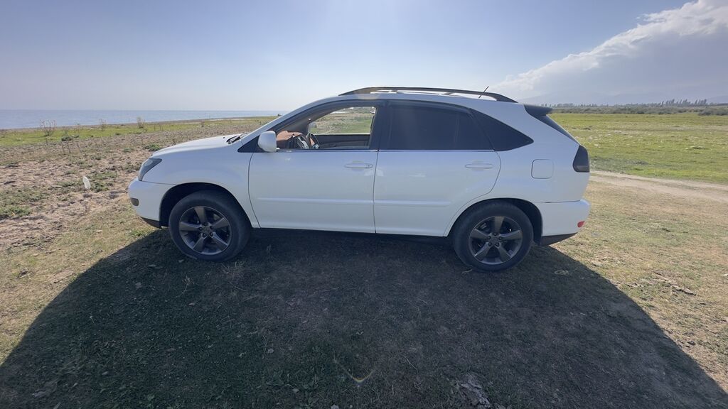 Lexus RX: 2004 г., 3.3 л, Автомат, Бензин, Кроссовер: фото 5