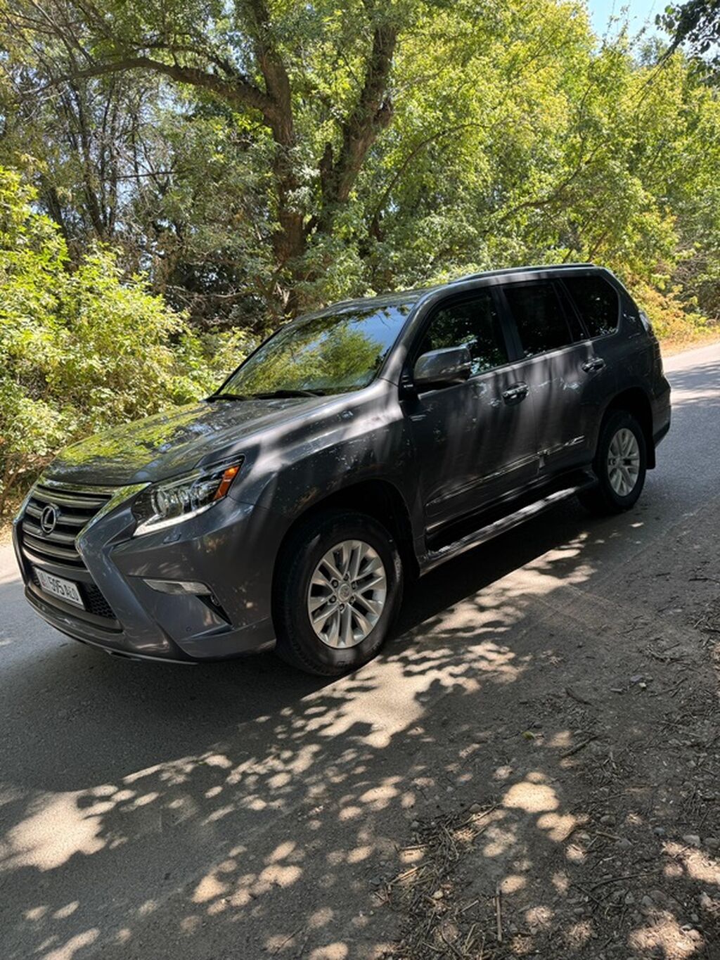 Lexus GX: 2019 г., 4.6 л, Автомат, Бензин, Внедорожник: фото 3