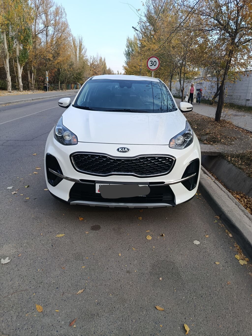 Kia Sportage: 2019 г., 2 л, Автомат, Дизель, Кроссовер — фото 1
