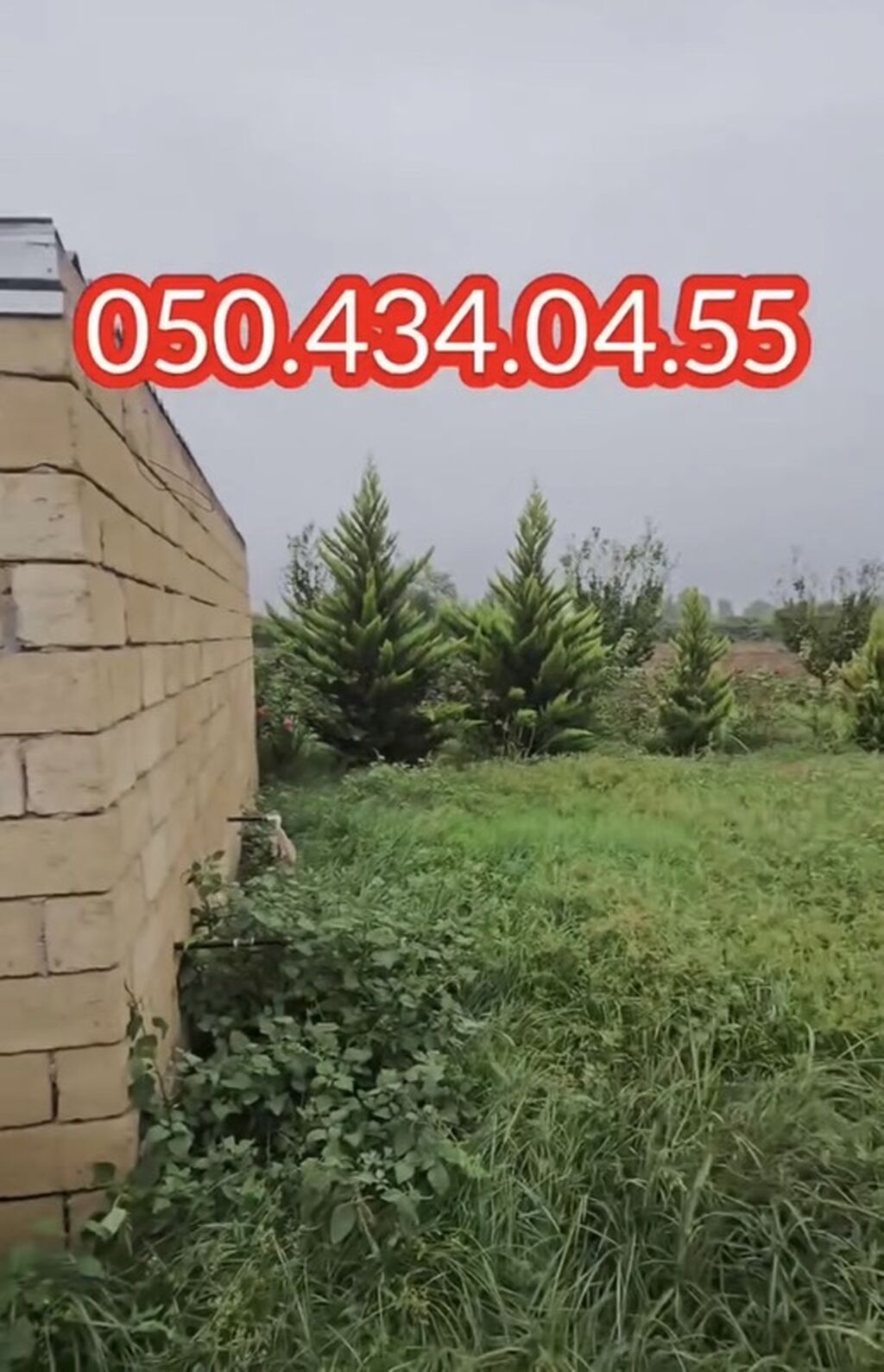 15 otaq, 1000 kv. m, Kredit yoxdur, Təmirsiz