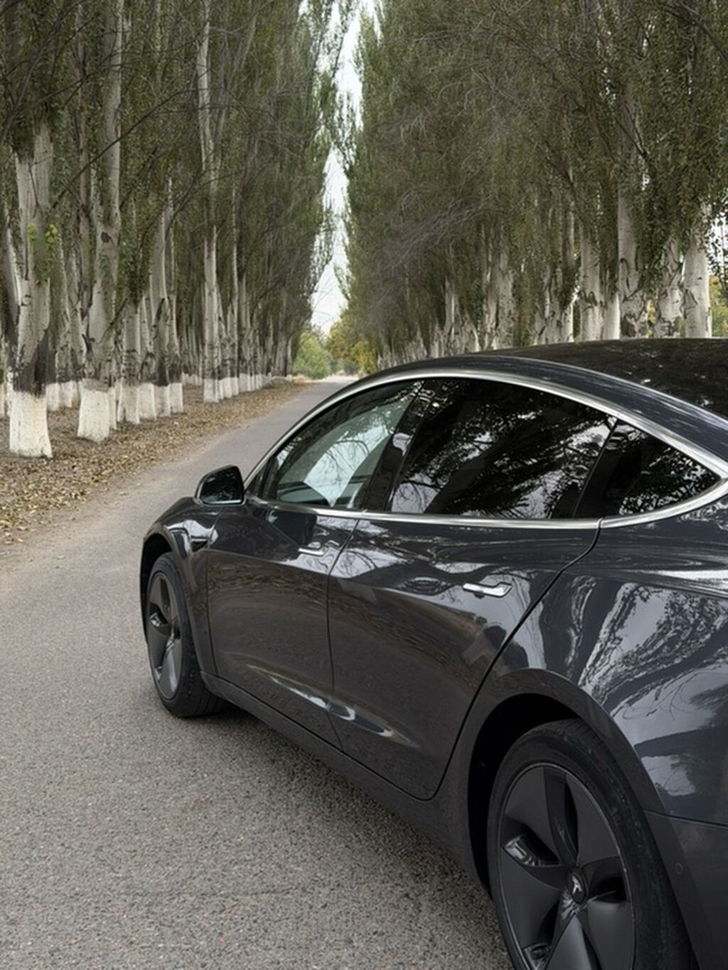 Tesla Model 3: 2018 г., 0.1 л, Автомат, Электромобиль, Седан: фото 3