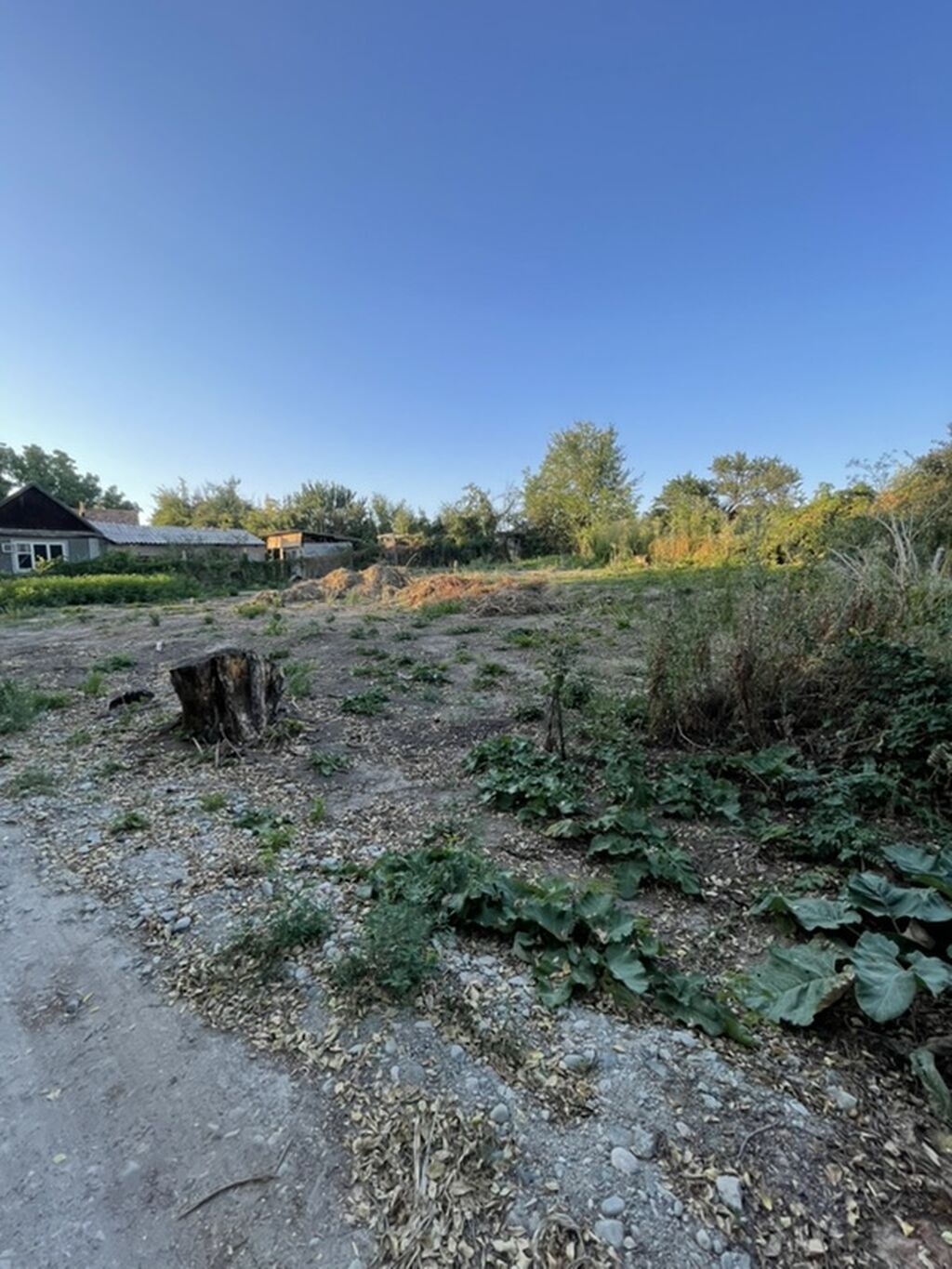 4 соток, Для строительства, Красная книга, Договор купли-продажи: фото 4