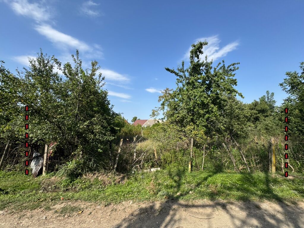 6 sot, Tikinti, Mülkiyyətçi, Kupça (Çıxarış)
