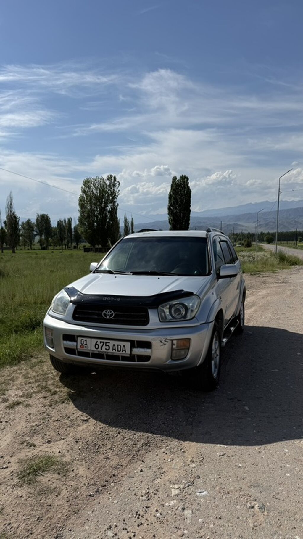 Toyota RAV4: 2003 г., 2 л, Автомат, Бензин, Кроссовер: фото 1