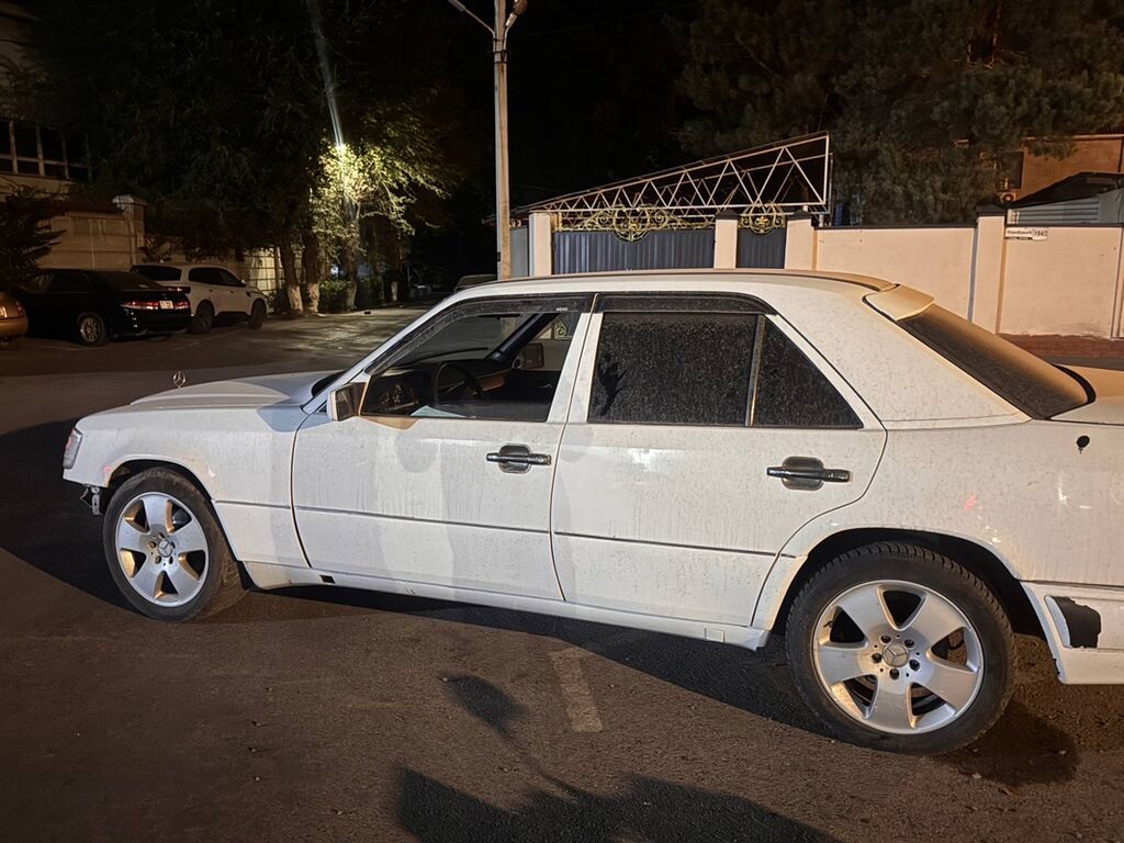 Mercedes-Benz E-Class: 1993 г., 2.2 л, Механика, Бензин, Седан: фото 6