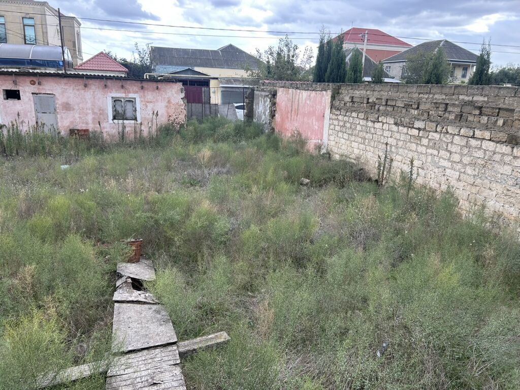 6 sot, Tikinti, Kupça (Çıxarış)