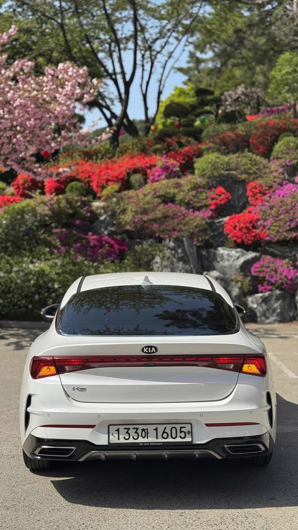 Kia K5: 2020 г., 2 л, Автомат, Газ, Седан: фото 4